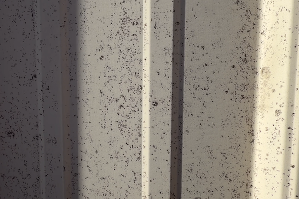 Mysterious black dust coats homes, vehicles and public…