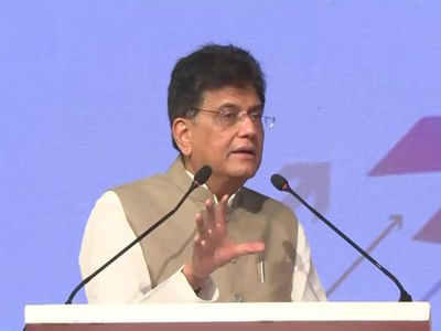 'Track imports, manufacture in India': Piyush Goyal pushes swadeshi production