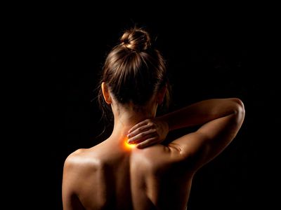 Understanding Pain and How Nociceptors, the Spinal Cord, Dorsal Regions, and the Brain Build Pain Pathways and Pain Perception
