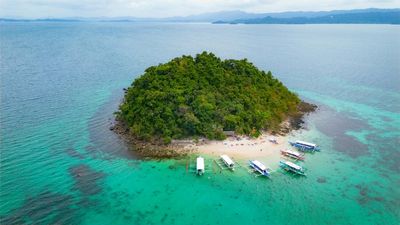 ‘AI going off the rails’: Techbro buys island to experiment with AI government, as sign-ups soar, he worries it won’t end well