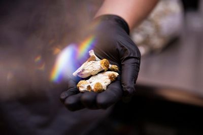 Magic mushrooms could be effective treatment for cocaine addiction, study shows