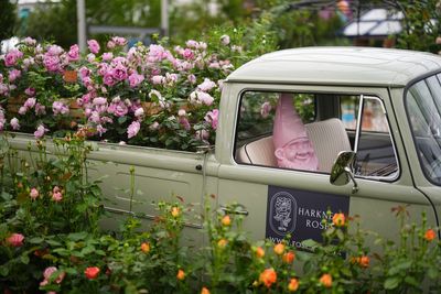 RHS Chelsea Flower Show 2026 reveals biggest garden trends from Japanese Zen spaces to AI design