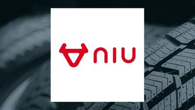 Niu Technologies Q1 Earnings Call Highlights