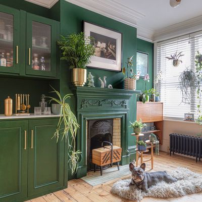 I’m seeing more and more of this quirky houseplant trend – it’s perfect for adding a pop of colour to your home.