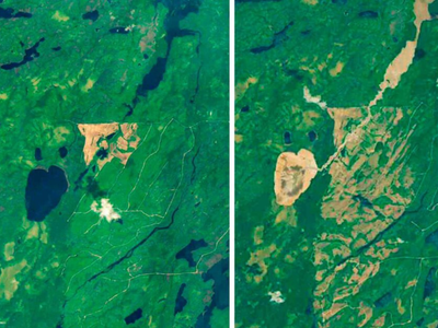 A Canadian lake shaped like an emoji suddenly drained dry in a geological event rarely seen on Earth