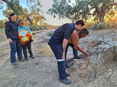 Signs of ‘feeding’ ritual at dingo burial site shed new light on bond between First Nations people and canines