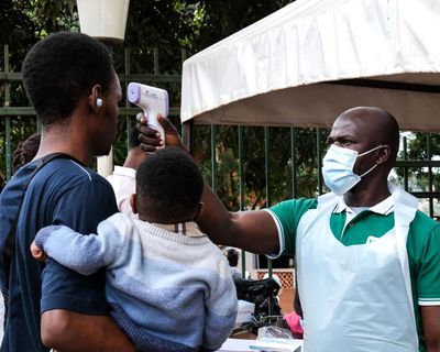 Infectious diseases such as hantavirus and Ebola becoming more frequent and damaging, say experts