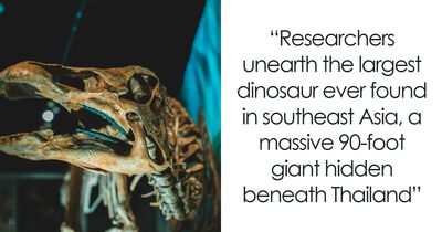 Giant Dinosaur Skeleton Found In Thailand, The Nagatitan, May Be The Largest Dinosaur Of The Region