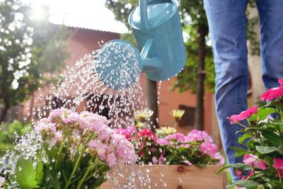 Why Water Control Matters More Than Water Volume