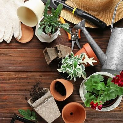 Nature Hills Nursery Promo Codes - for May 2026