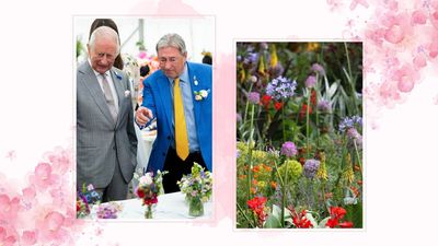 Alan Titchmarsh recalls the life-changing influence King Charles has had on his relationship with gardening