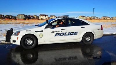 Aurora, Colorado, serviceman hires a dog and house sitter while deployed overseas. Then he checks his surveillance camera