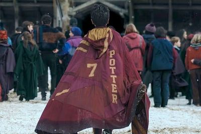 Harry Potter star ‘steps away’ from new HBO series