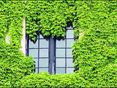 India’s $1 trillion import dependence makes green transition a strategic necessity