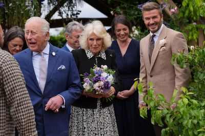 David Beckham is all smiles as he meets the King at Chelsea Flower Show