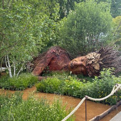 Sorry, tidy garden borders, Chelsea Flower Show 2026 is embracing wild, natural gardens – and yes, that includes weeds