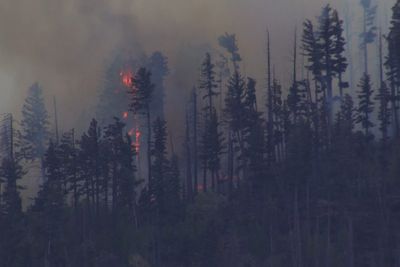 New Mexico wildfire sparked by fatal medical plane crash spreads quickly in rural area