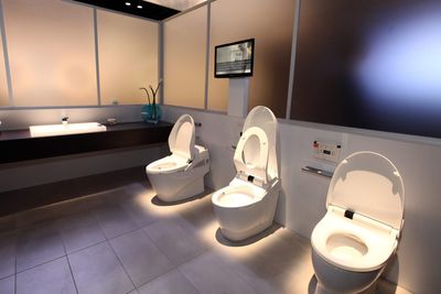 Not the Allbirds effect: Japan's top bidet maker Toto has been quietly making chip supplies for decades, and the stock market finally noticed