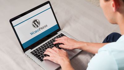 Another top WordPress plugin exploited — hackers target credit card details, here's what you need to know
