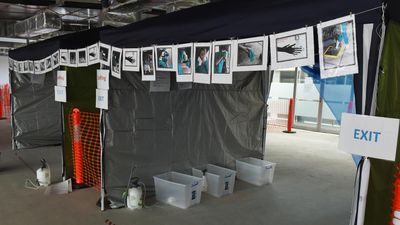 'Numbers increasing': border changes flagged for Ebola