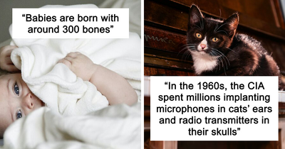 45 Random Facts That May Not Add Value To Your Life, But Can Make Your Day More Interesting
