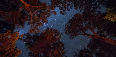 Indigenous Australians were the world’s first astronomers. But their knowledge is now at risk