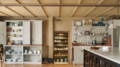 I’m Turning My Most Awkward Kitchen Cabinet into a Pull-Out Pantry With a $48 Addition Shoppers Say Is an ‘Easy Upgrade’