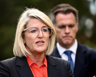 NSW police to avoid mental health incidents under UK model after spate of fatal shootings