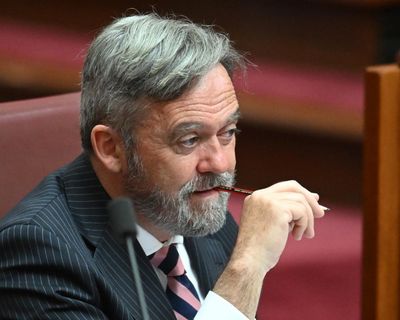 Afternoon Update: Liberal breaks ranks on Taylor plan; Mafs UK rape allegations; and having tea with Flea