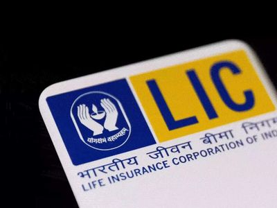 LIC bonus issue: Insurance behemoth gets shareholders' approval for 1:1 issue. Check details