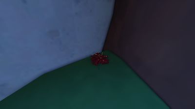 All 6 Blood Flower Locations in Sailor Piece