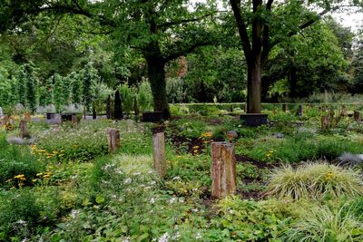Hertfordshire town reopens century-old graves for new burials due to space shortage