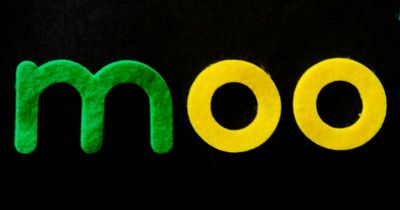 Only True Word Nerds Will Guess These 18 Words That All End In A Double-O