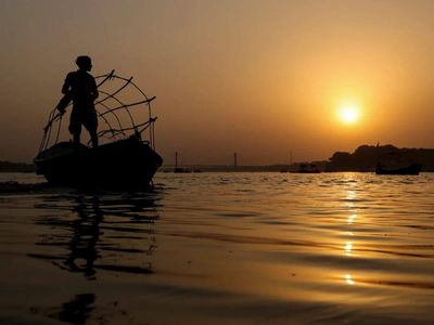 Jharkhand records zero polluted stretches on Ganga main stem for 7th straight year: Namami Gange