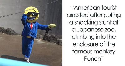 Tourists Break Into Zoo Enclosure To Film A Viral Video, Punch The Monkey And Staff Not Amused