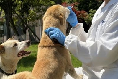 This new oral spray may neutralise your dog’s stinky breath
