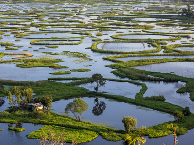 This surreal floating lake in India is visible from space but beneath its drifting islands lives one of the world’s most feared snakes