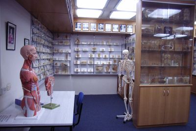 Tasmania apologises for keeping autopsy body parts without consent of families