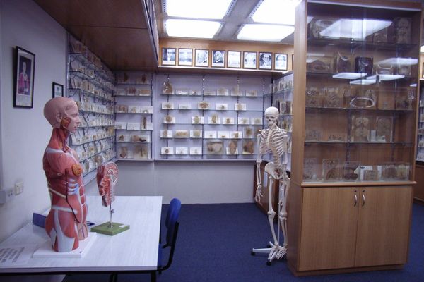 Tasmania apologises for keeping autopsy body parts without consent of families