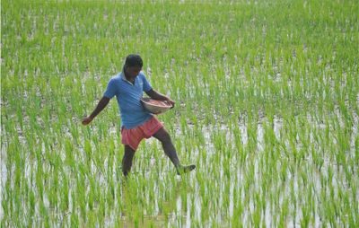Fertilisers not easily available in international market, pushes for organic farming: Union Minister Shivraj Singh Chouhan