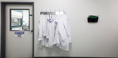 Self-censorship, more stress, tougher recruiting – we asked US researchers how the Trump administration’s science policies have affected them