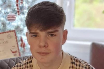 Teenager admits murdering 16-year-old on beach as two others on trial
