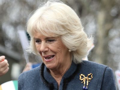 'She Brainwashed Harry': Queen Camilla's Allegedly Brutal Private Insult About Meghan Markle Exposed