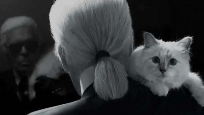 $200 million kitty: Meet Choupette, the world's richest cat, whose lifestyle would make Cleopatra envious