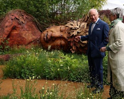 Sarah Eberle’s ‘mesmerising’ garden wins top prize at Chelsea flower show