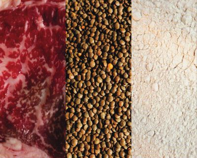 ‘People should aim to get a variety’: the pros and cons of popular protein sources