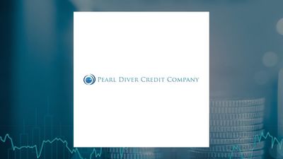 Pearl Diver Credit Q1 Earnings Call Highlights