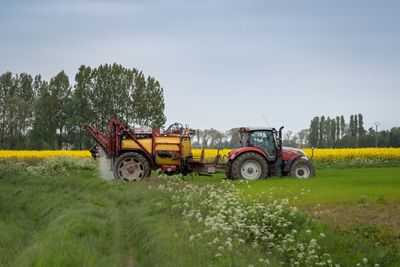 Agriculture Will Decide The Future Of Civilization