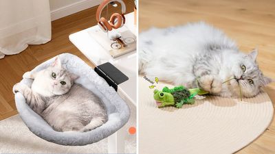 55 things for your cat that are effing amazing & so cheap