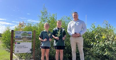 From little things, tiny forests grow for Lake Macquarie school